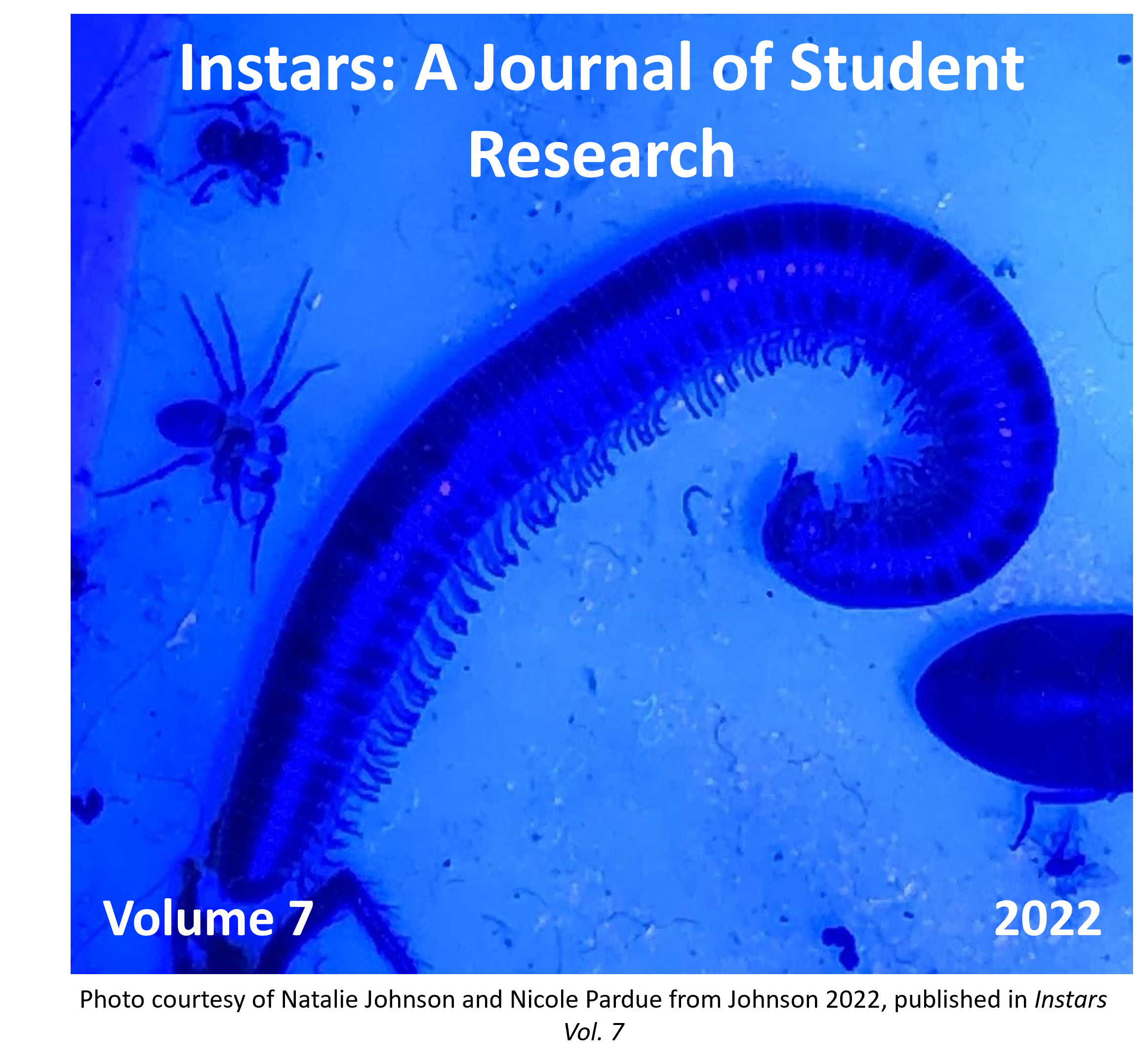 					View Vol. 7 No. 1 (2022): Instars: A Journal of Student Research
				