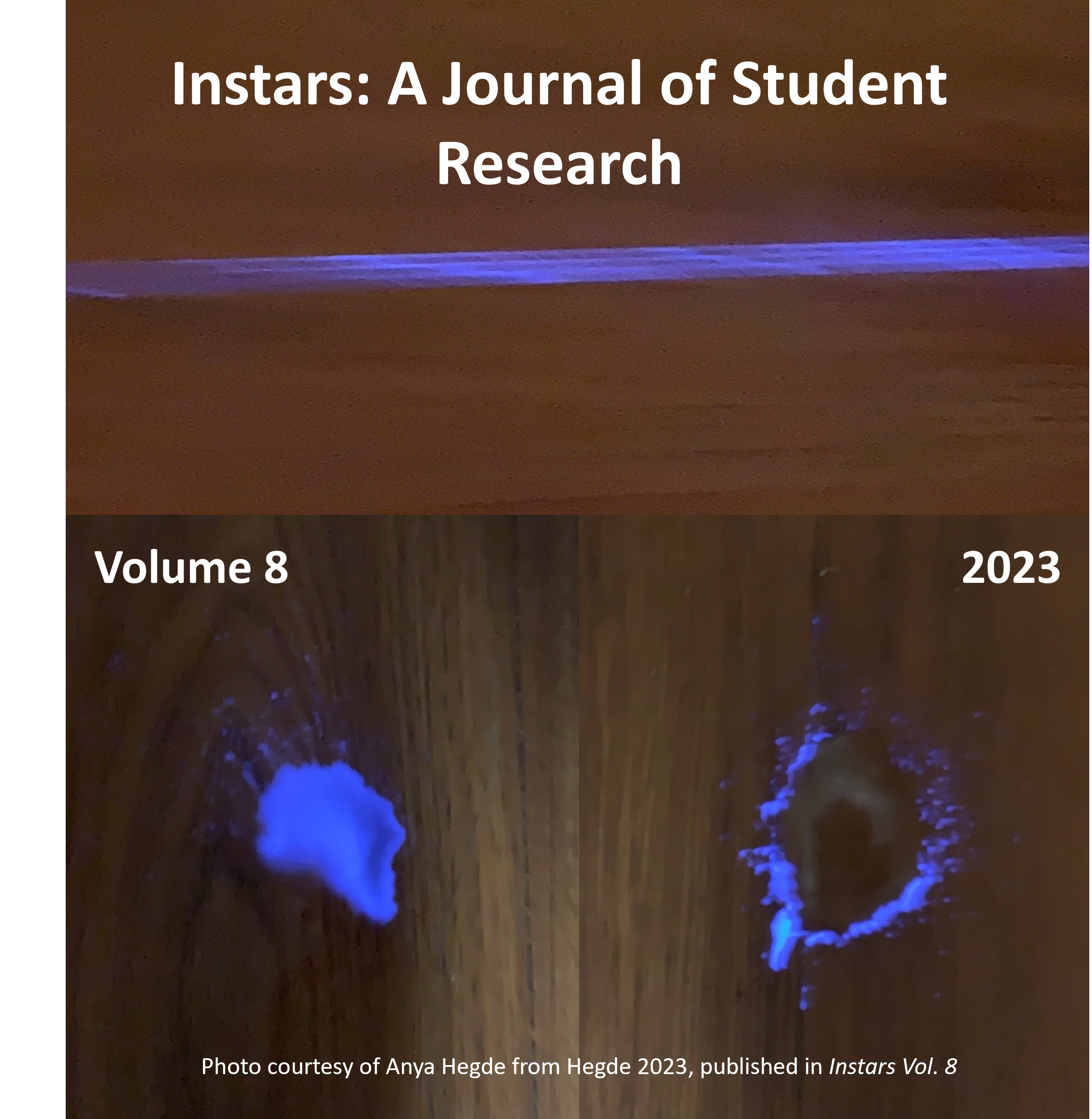 					View Vol. 8 No. 1 (2023): Instars: A Journal of Student Research
				