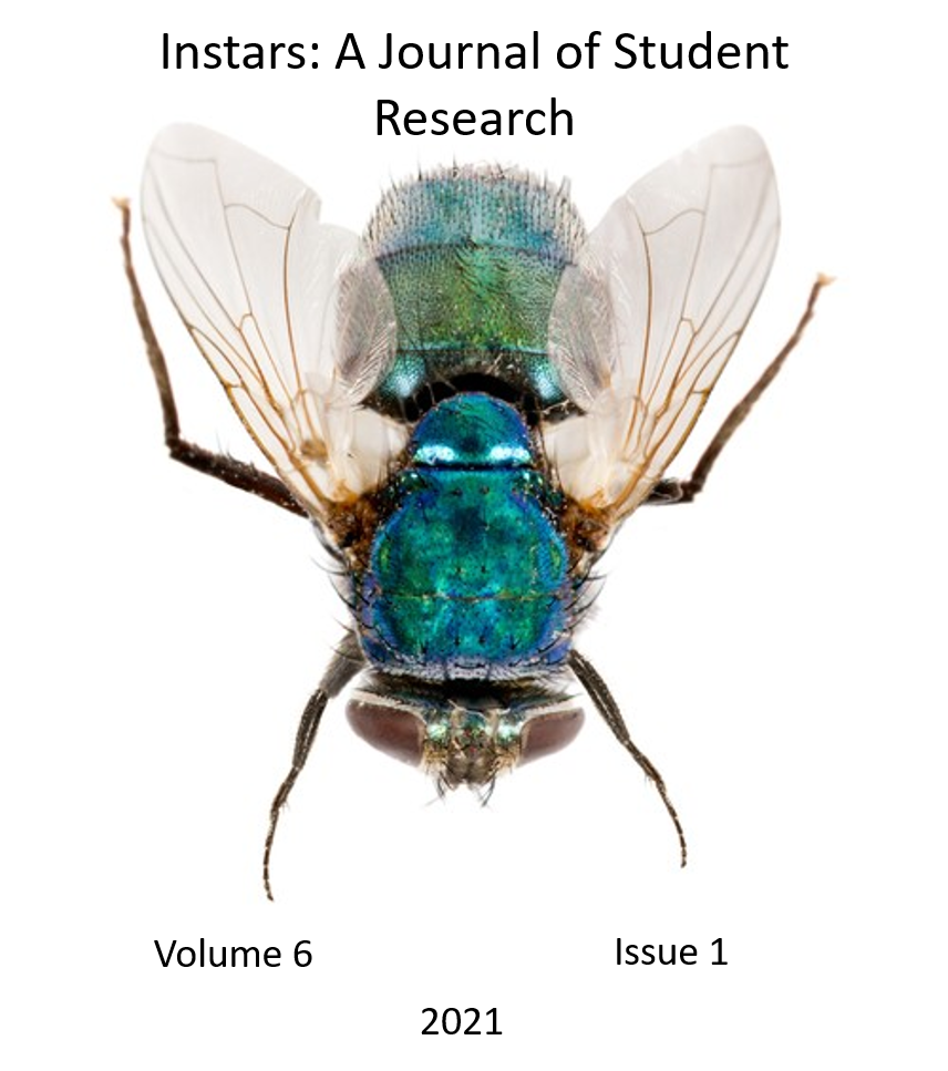					View Vol. 6 No. 1 (2021): Instars: A Journal of Student Research 
				